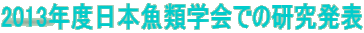 2013Nx{ފwł̌\